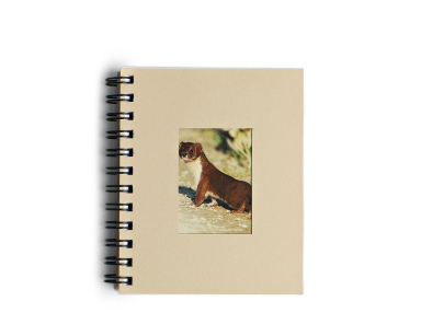"Weasel"  spiral notepad - 70 pages