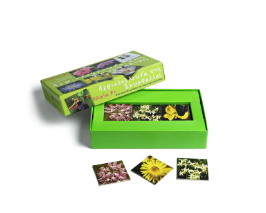 "Wildflowers of Stymphalia" Memory Game