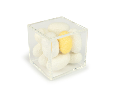 Paperweight Cocoon Museum Silk