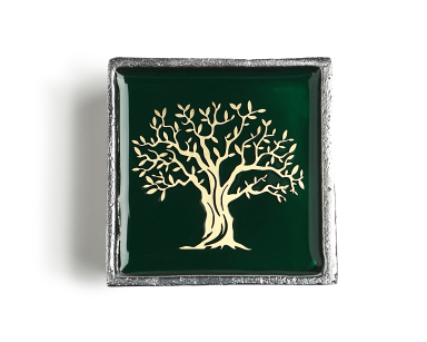 Κουτάκι Σχίνος