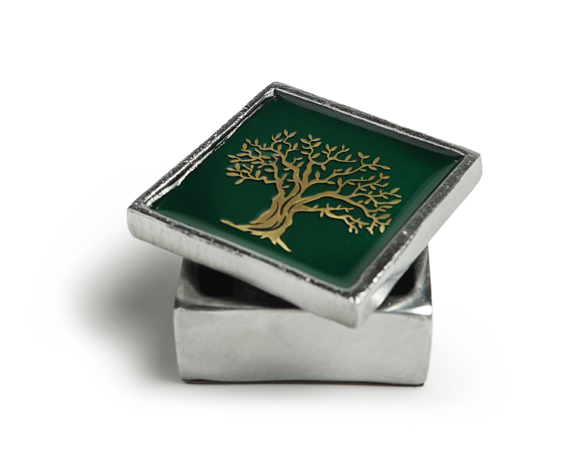 Κουτάκι Σχίνος 1